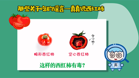 那些關于吃的謠言——真真說西紅柿